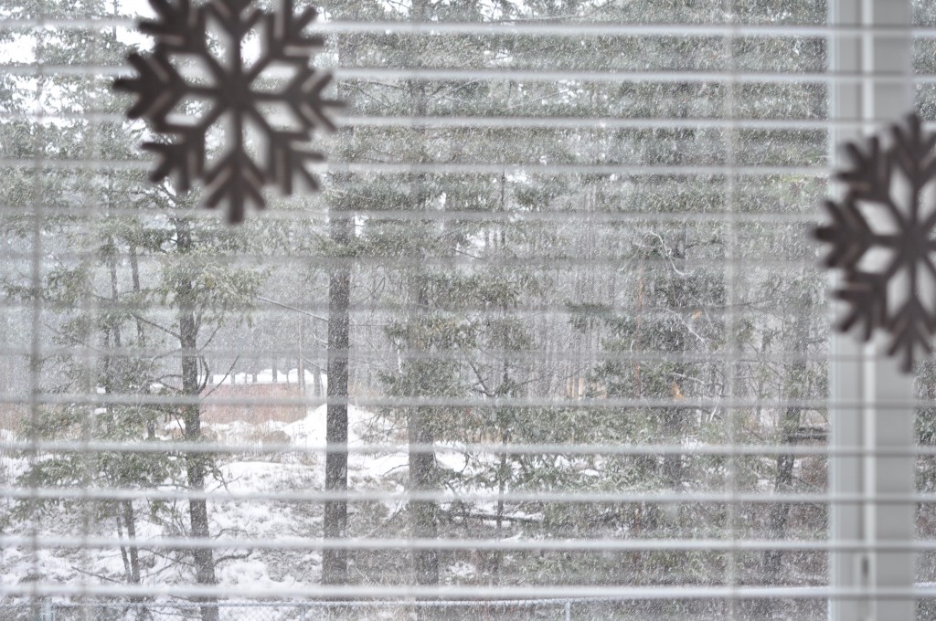 Winter out of the schoolroom window