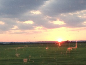 An Iowa sunset through the bug-kill.